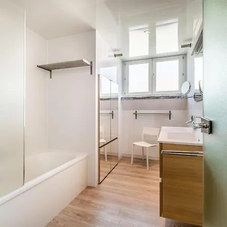 Porpoises * Koksijde